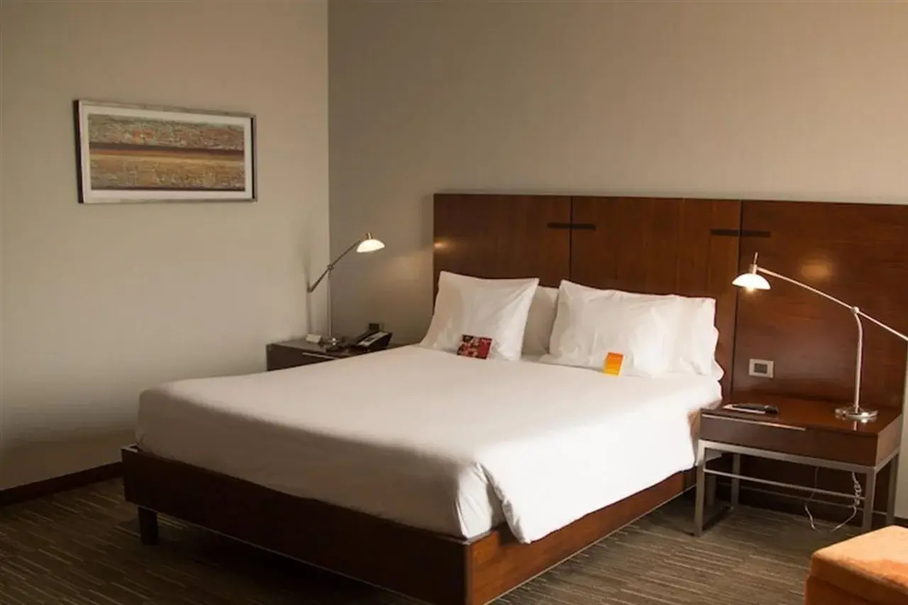 Photo - Hilton Garden Inn Santiago Airport