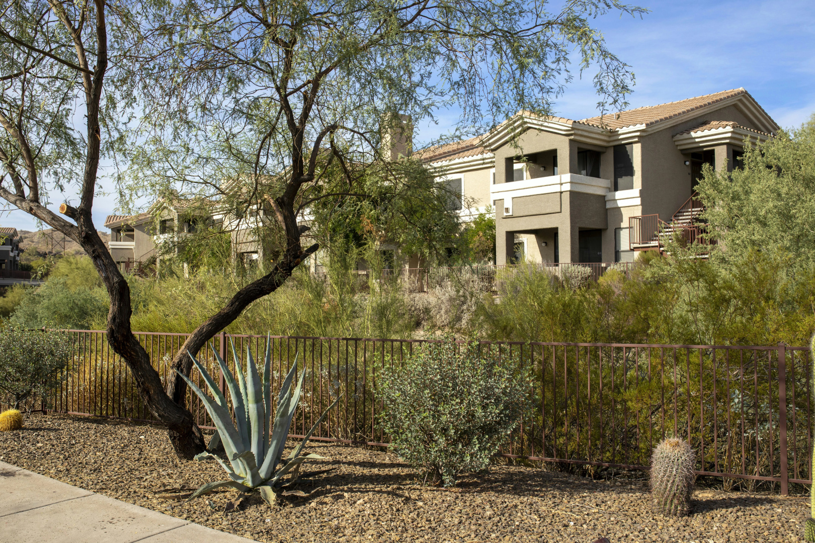 Photo - Raintree at Phoenix South Mountain Preserve