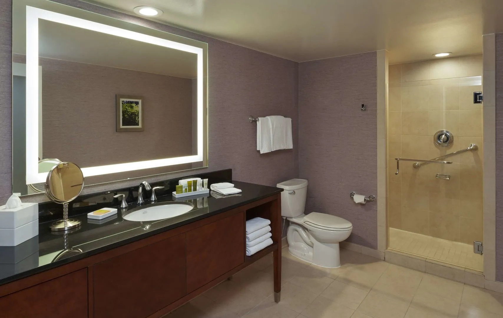 Photo - Hilton Washington DC/Rockville Hotel & Executive Meeting Center