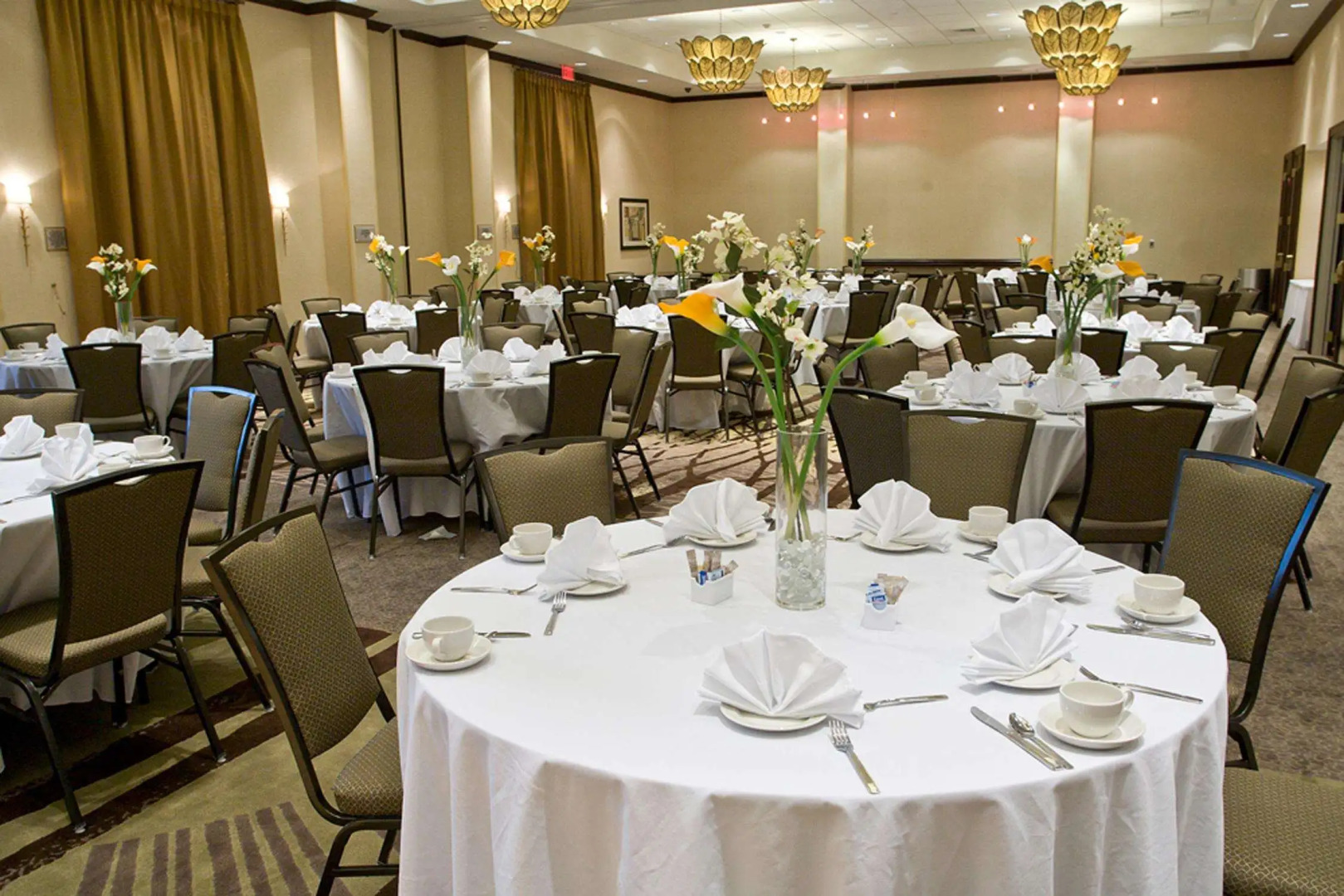 Foto - Embassy Suites Savannah Airport