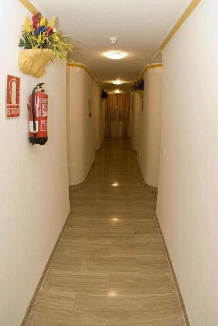 Foto - Hotel los Girasoles
