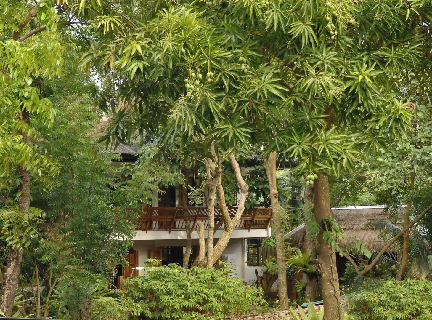Photo - The Strand Boutique Resort