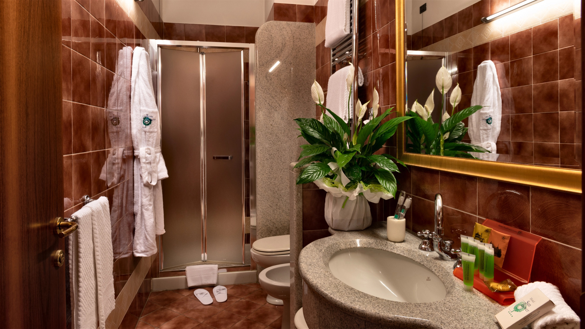 Foto - Hotel Sunflower