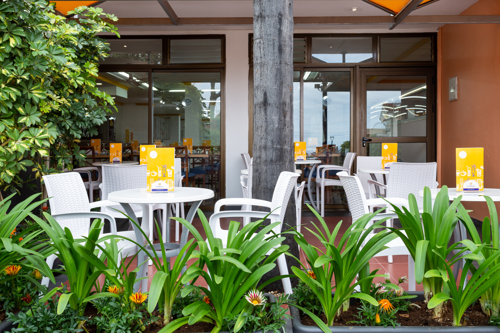 Foto - Globales Acuario