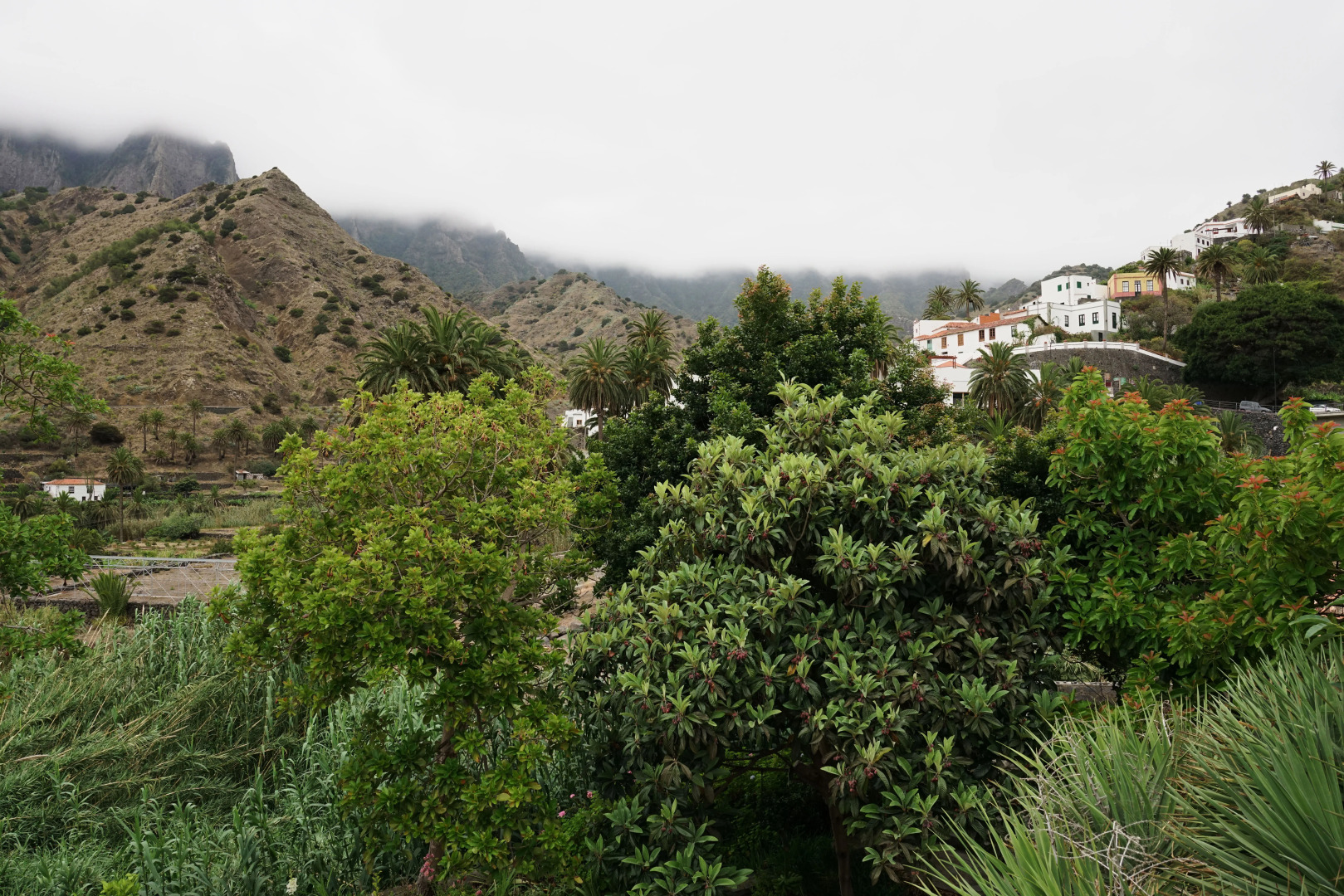 Foto - Finca Piñero