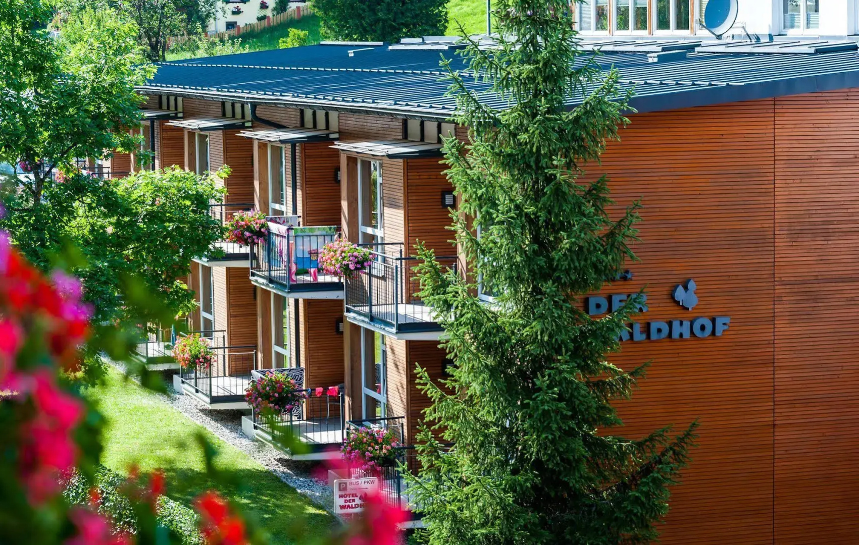 Foto - Hotel Der Waldhof