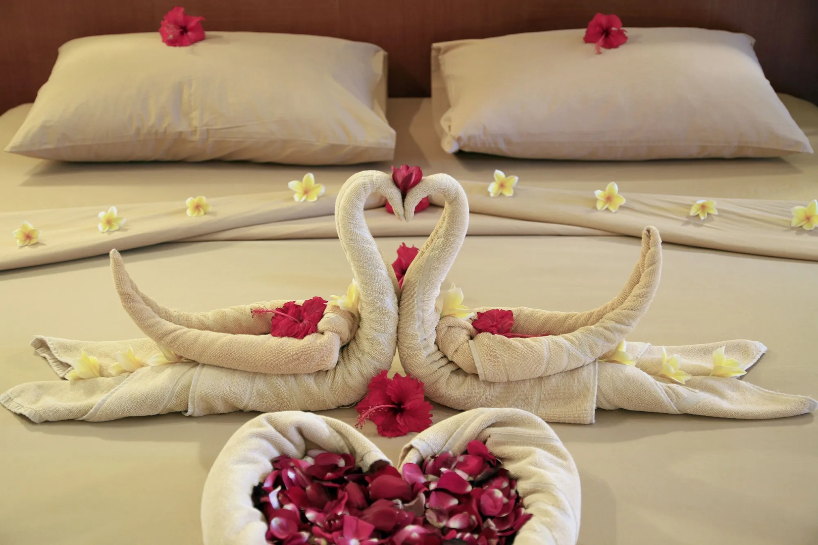 Foto - The Lagoon Bali Pool Hotel and Suites