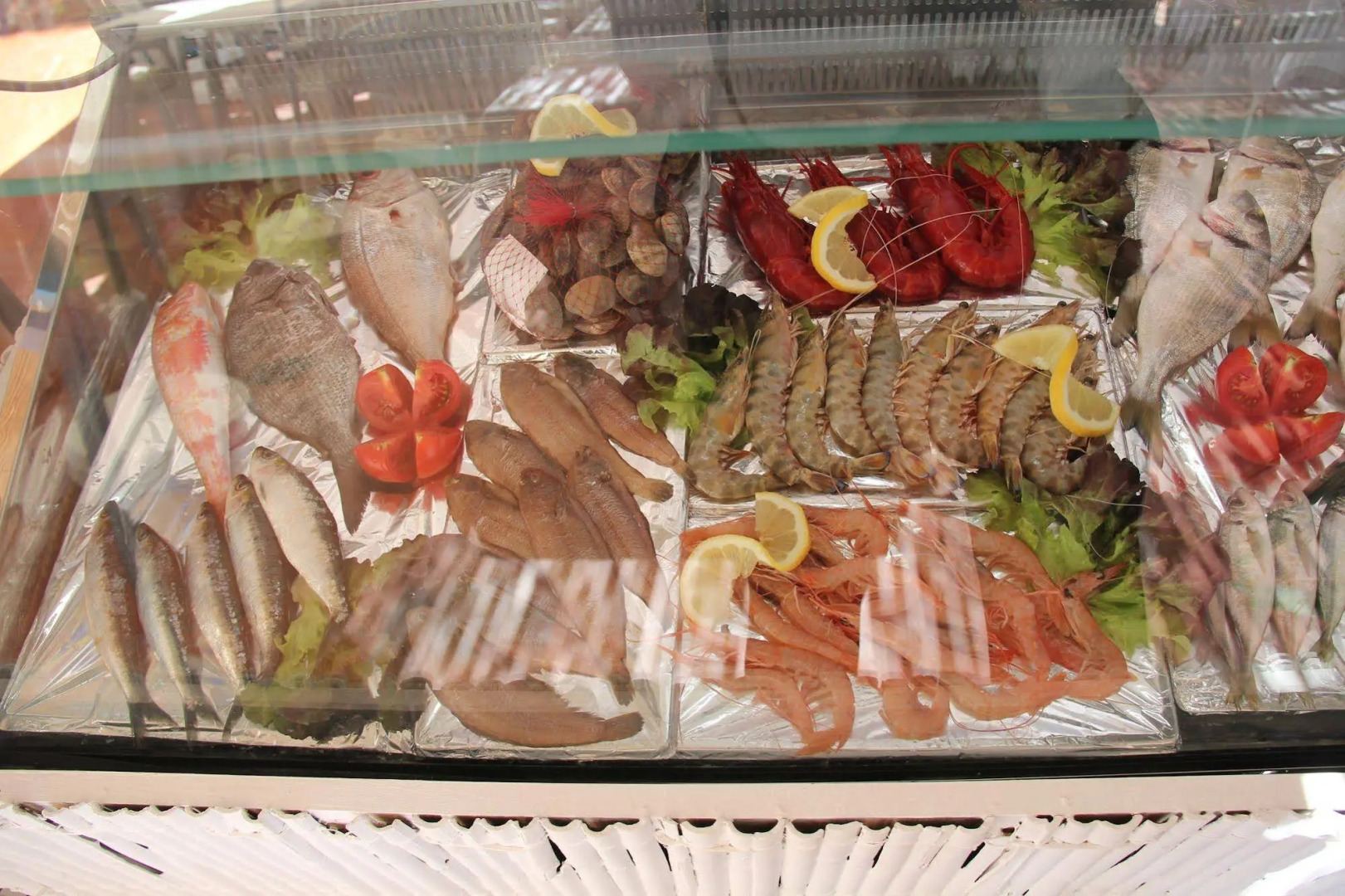 Foto - Hotel Vasco Da Gama