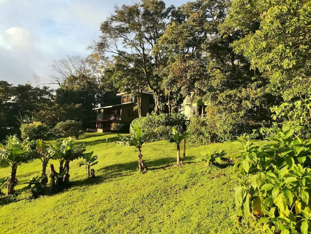 Foto - Hotel Flor de Bromelia