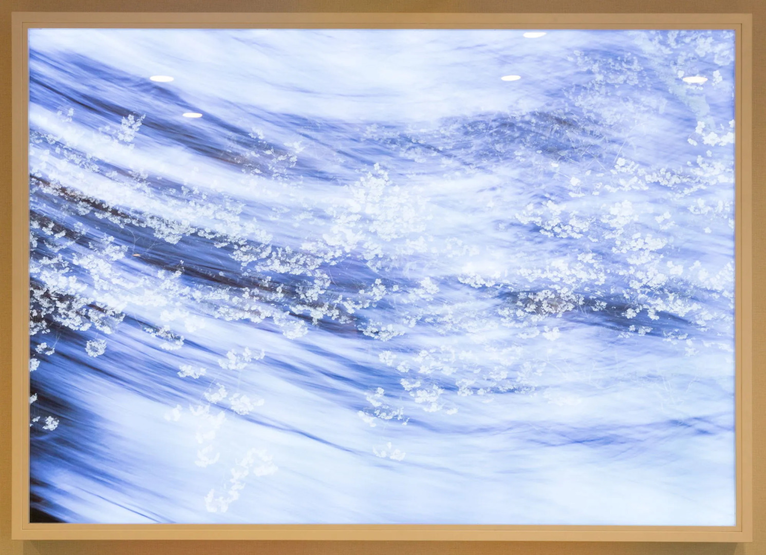 Foto - SARASA HOTEL Namba