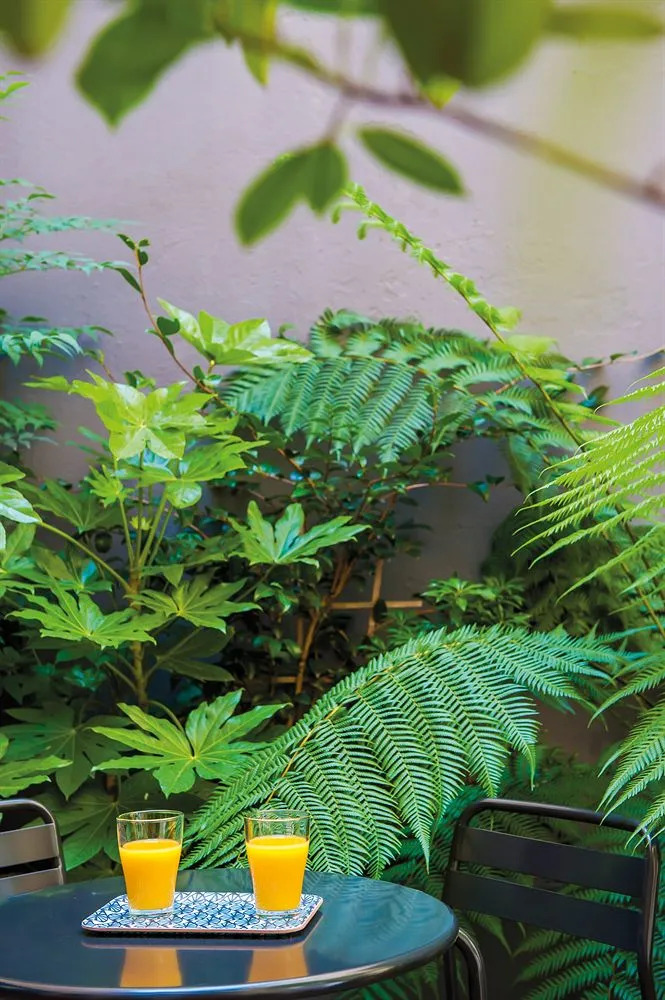 Foto - Hôtel La Cour Carrée Bordeaux Centre