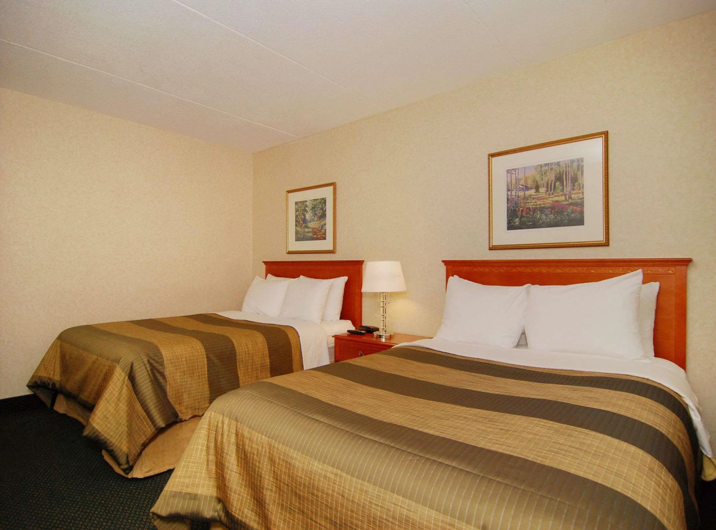 Foto - Quality Inn & Suites