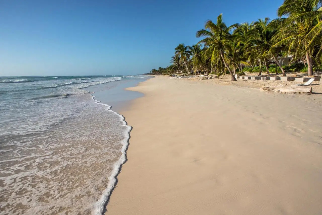 Photo - The Beach Tulum Hotel