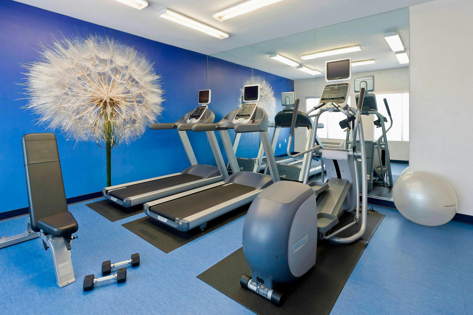 Photo - SpringHill Suites Phoenix North