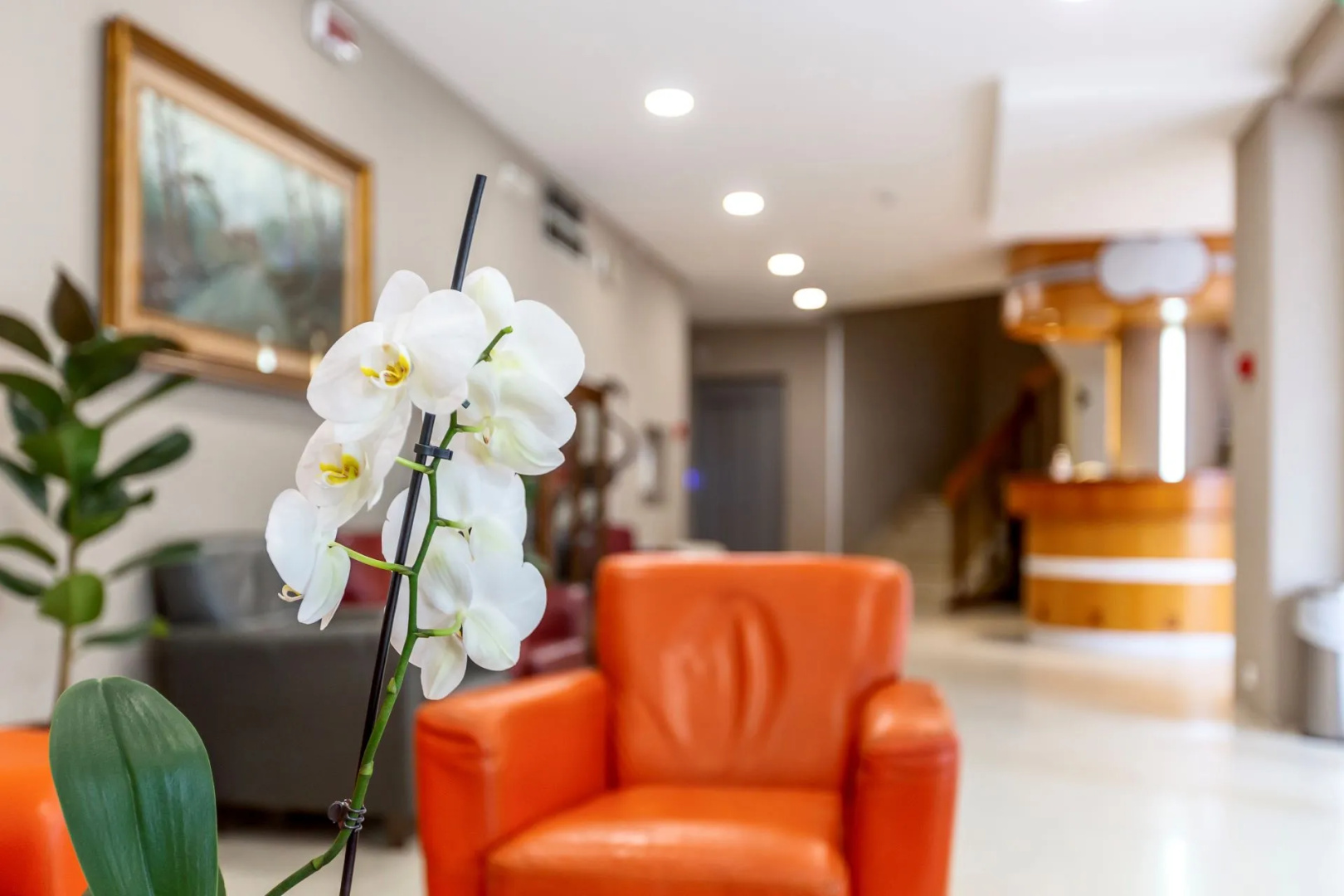 Foto - Hotel Airone