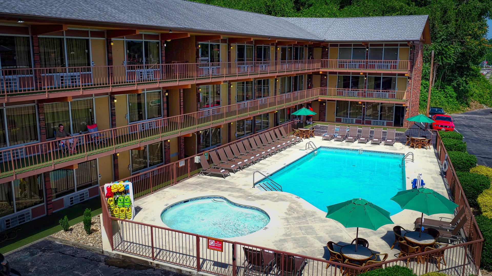 Foto - Wild Bear Inn