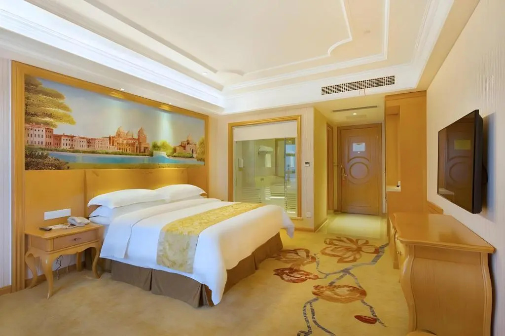 Vienna International Hotel (Changsha Hongxing Desiqin Plaza)