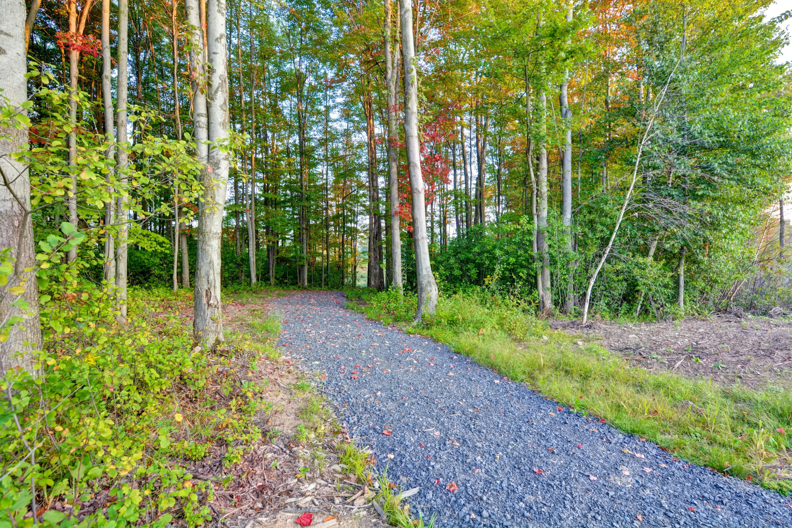 Photo - Homewood Suites by Hilton New Hartford Utica