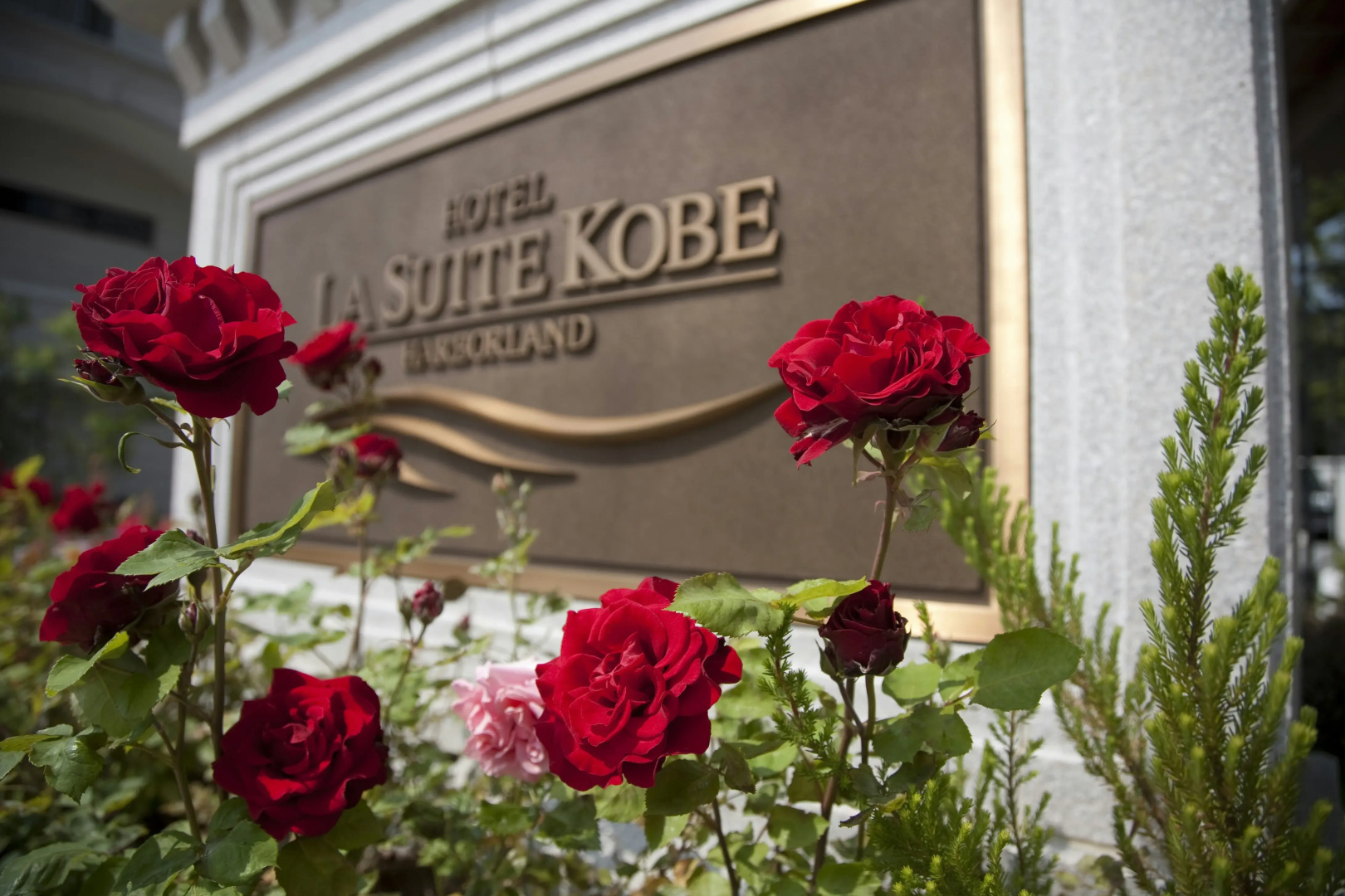 Foto - Hotel La Suite Kobe Harborland