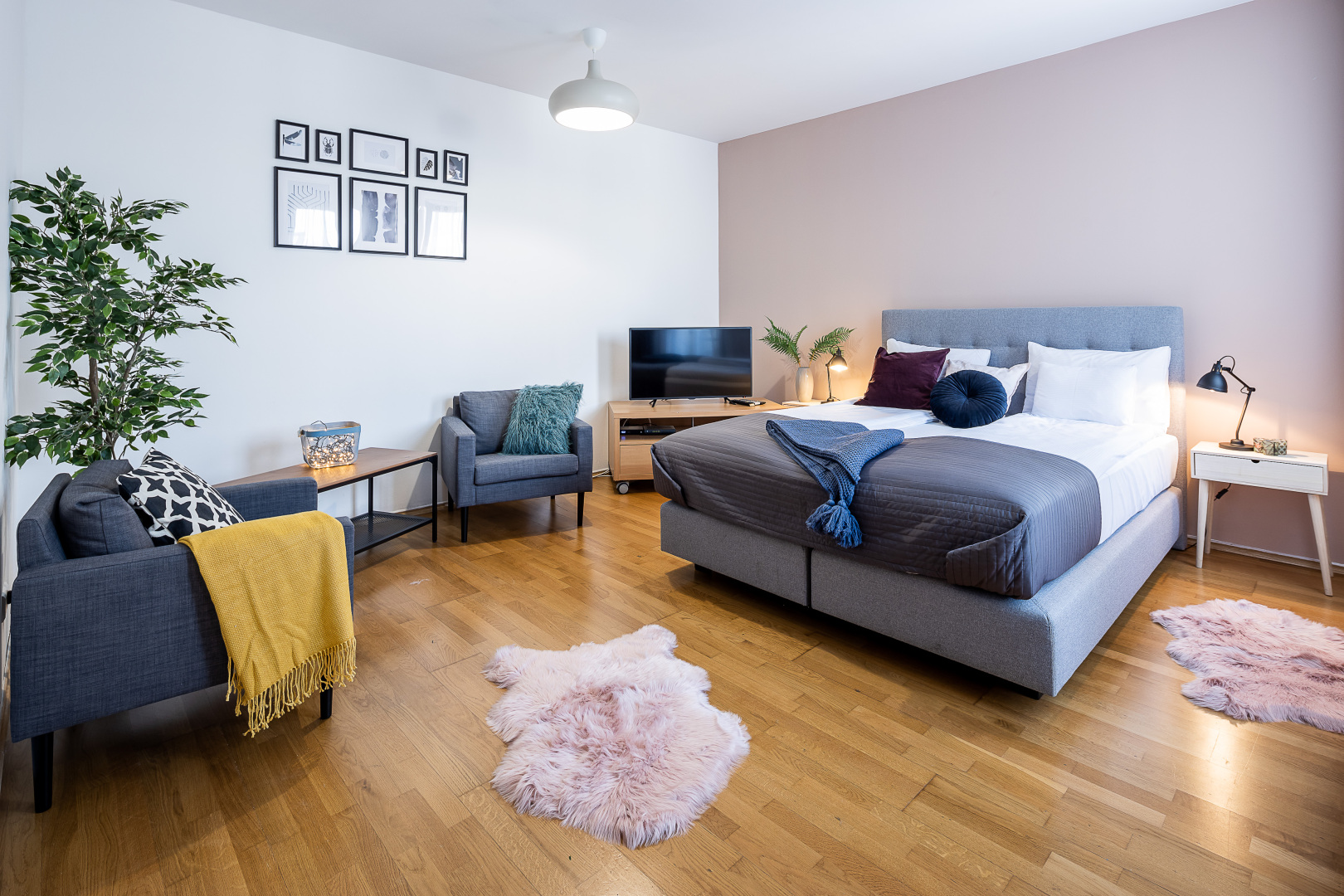 Photo - Vagabond Downtown