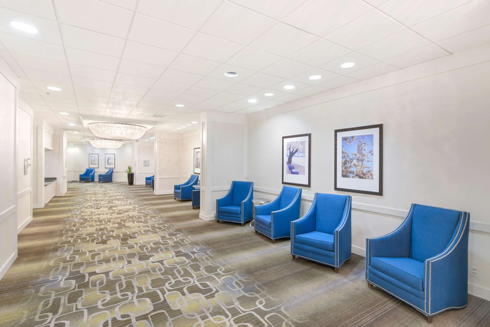 Foto - Hilton Arlington National Landing