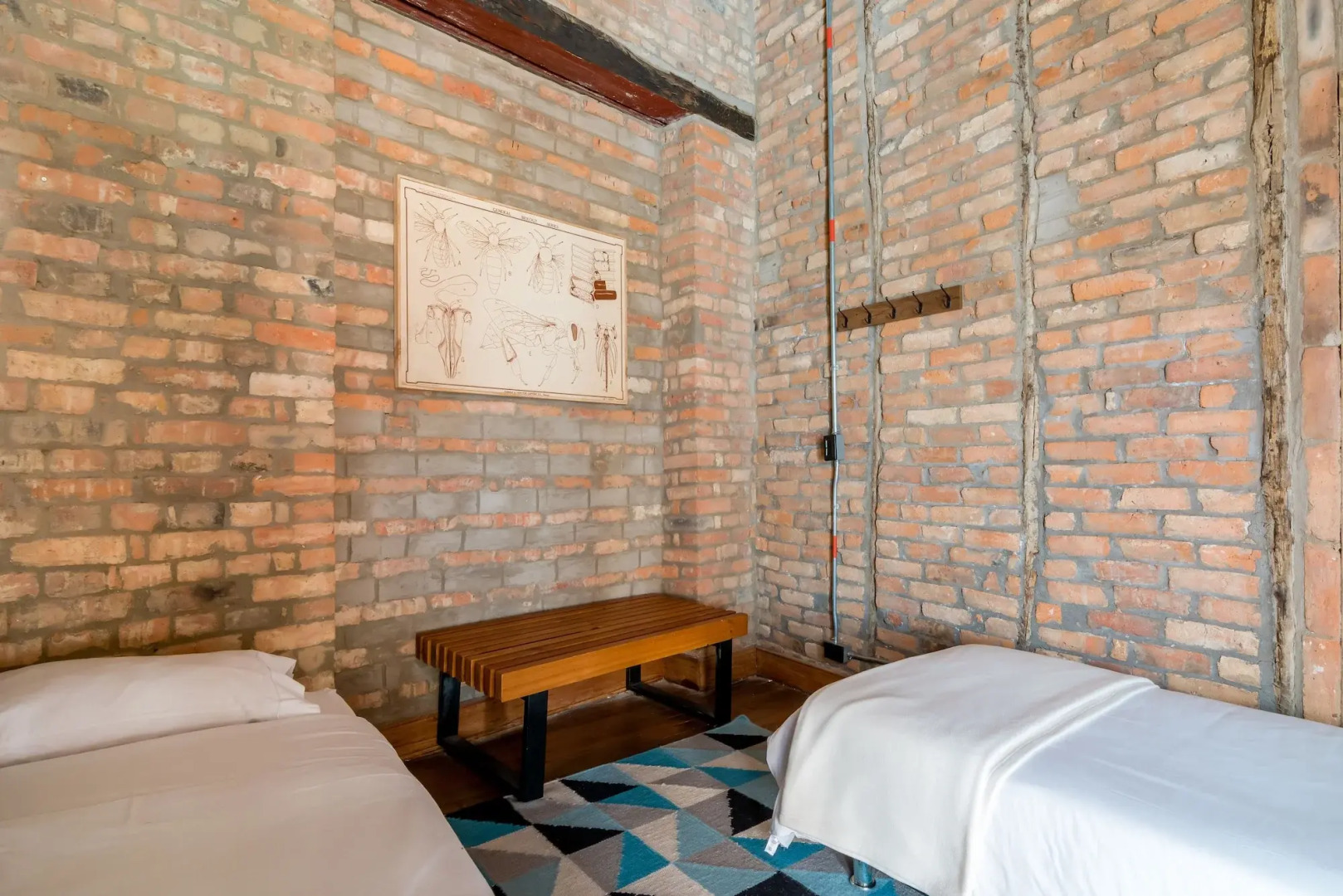 Photo - Delgadillo Hotel by Socialtel