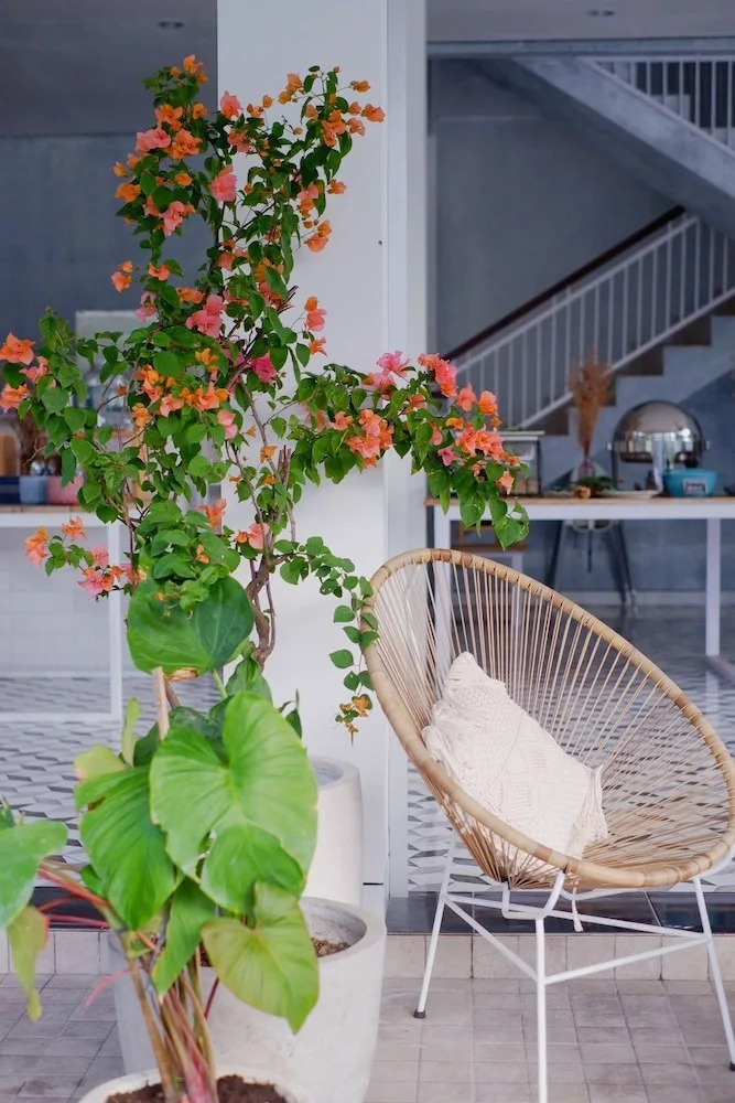 Photo - The Sloth Bali