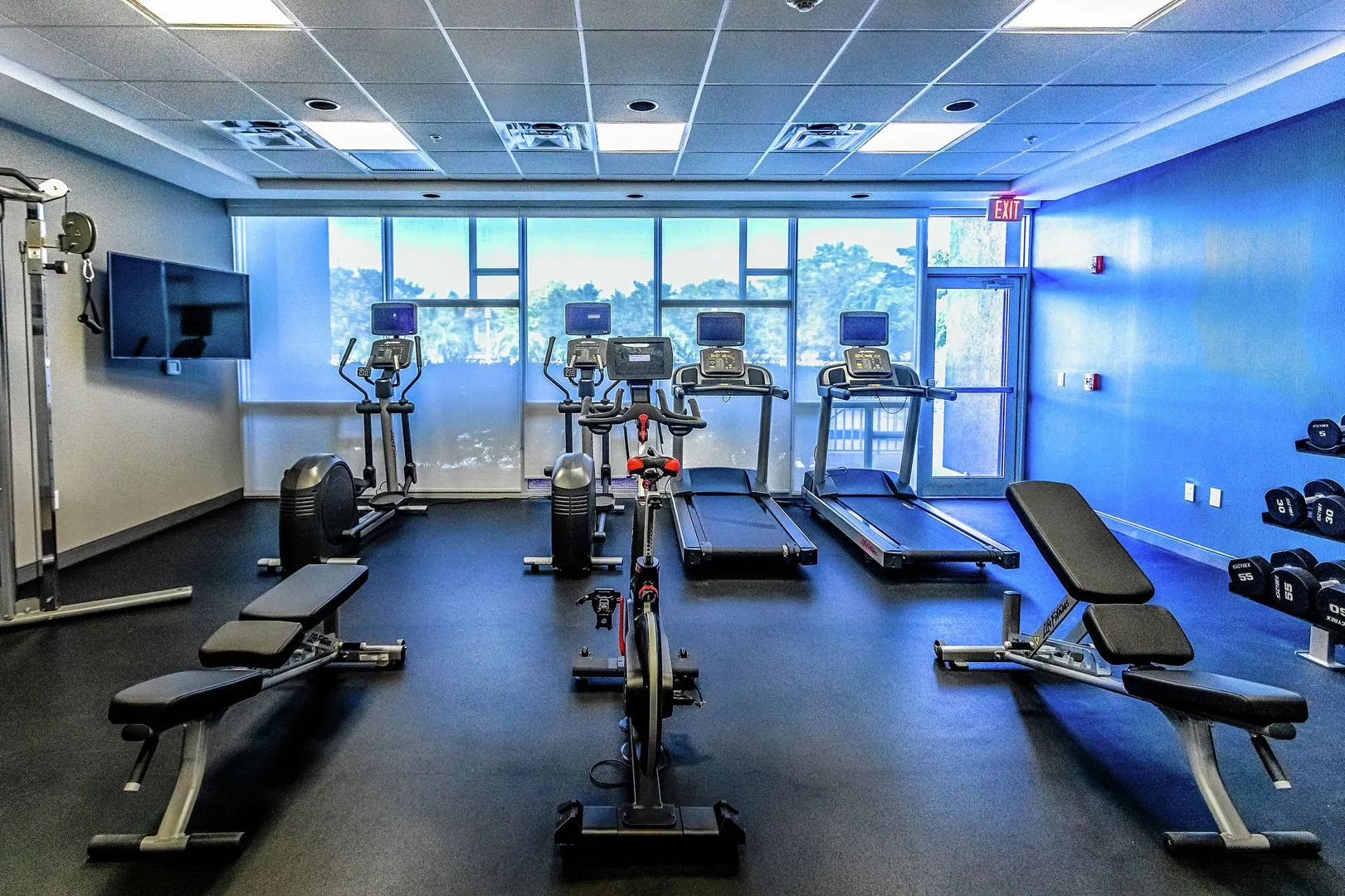 Foto - Hampton Inn & Suites Sarasota / Bradenton - Airport