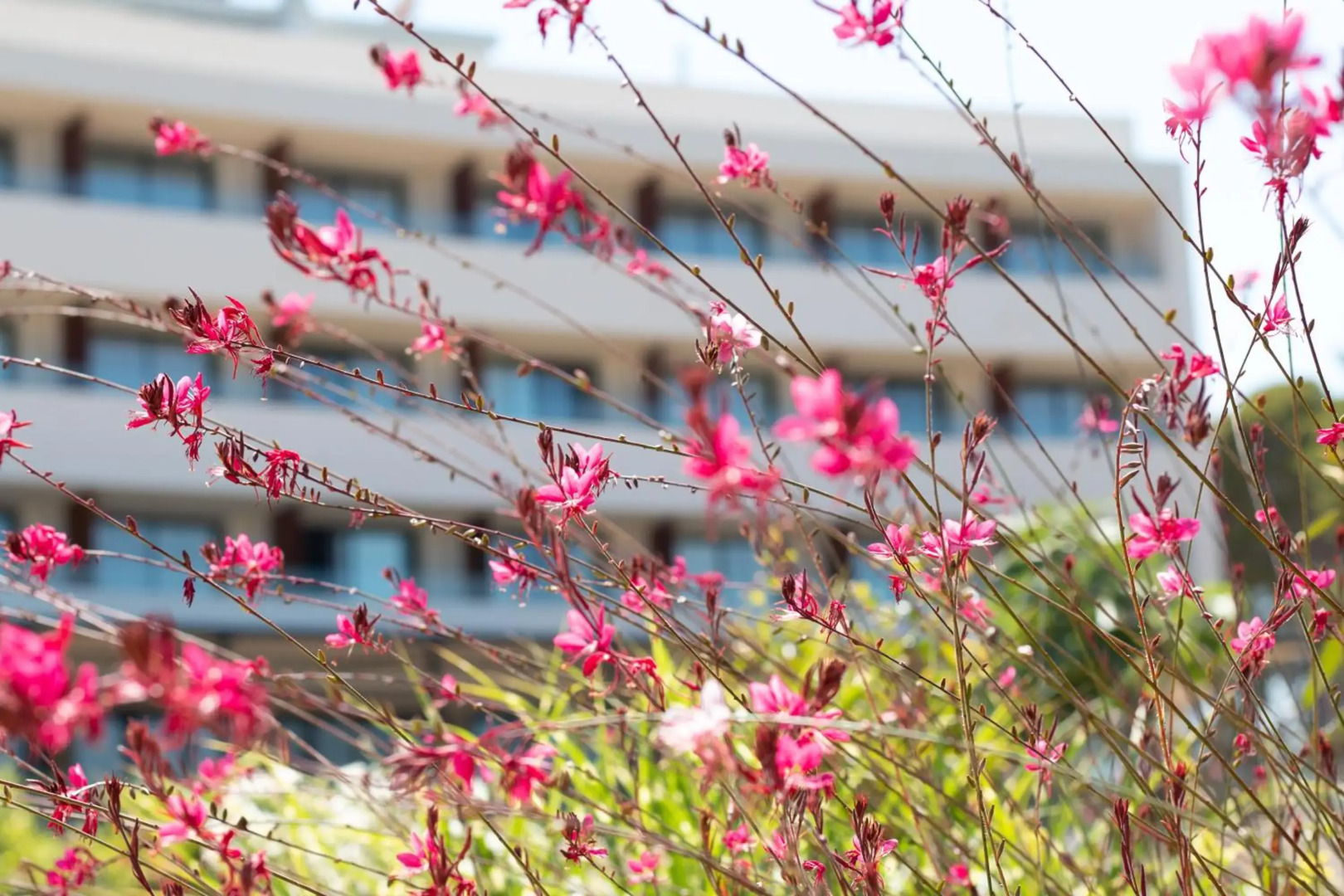 Photo - Hotel Serawa Moraira