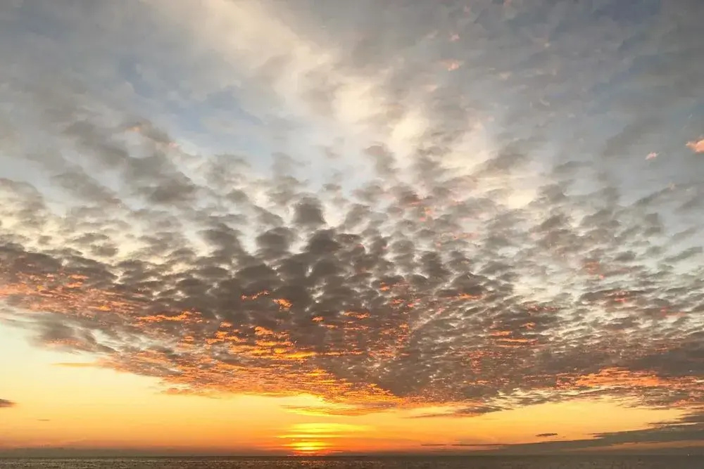 Foto - Curry House - Room 1