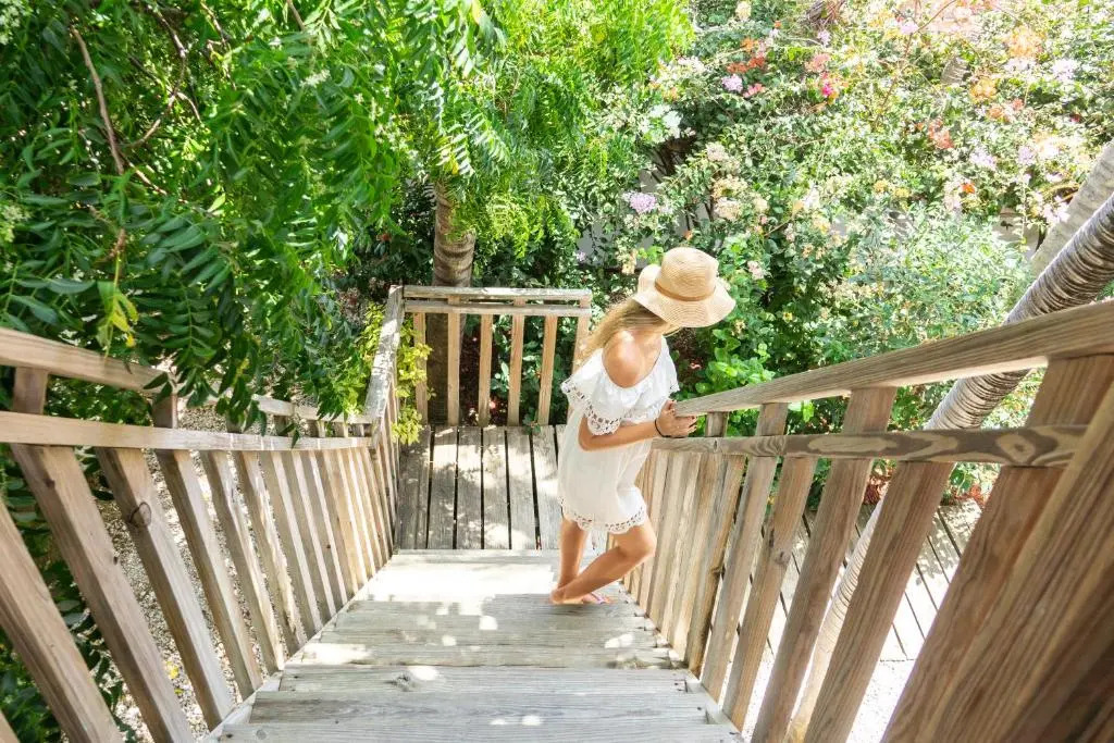 Foto - Paradera Park Aruba