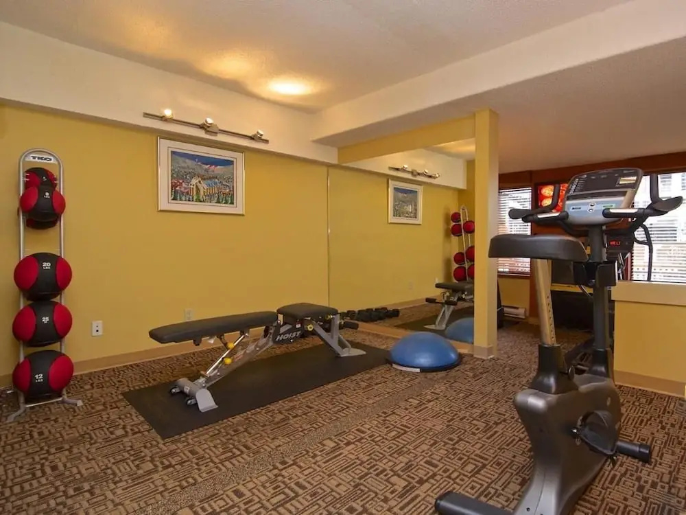 Foto - Mountain Side Hotel Whistler by Executive