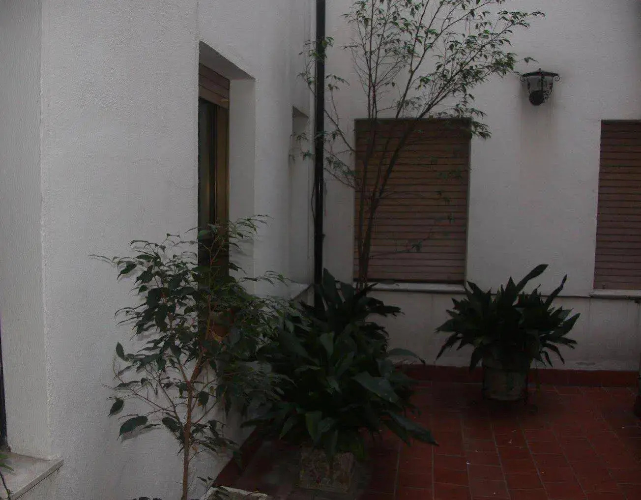 Foto - Hotel Virgen de los Reyes