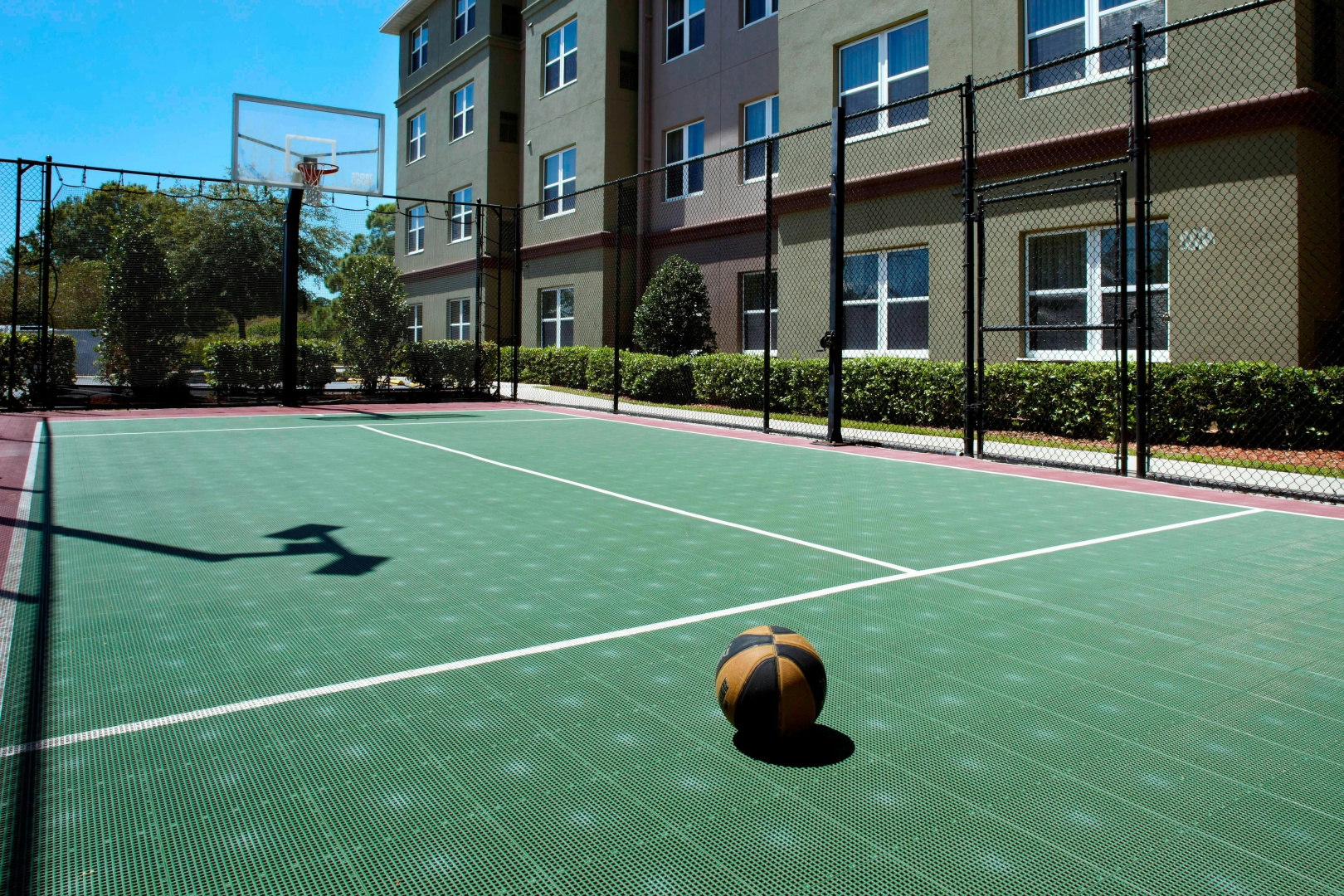 Foto - Residence Inn by Marriott Tampa Oldsmar