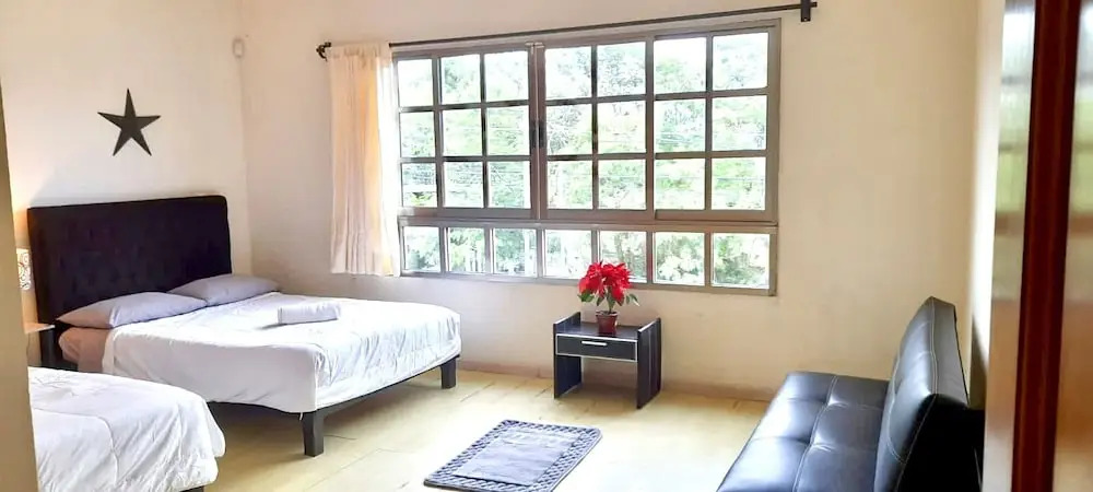 Photo - La Maison BLEUE