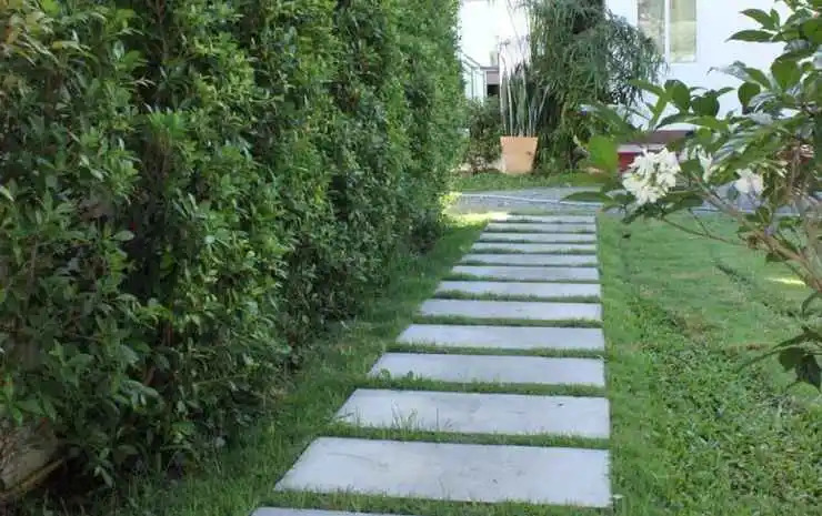 Photo - Kitti Rose Home