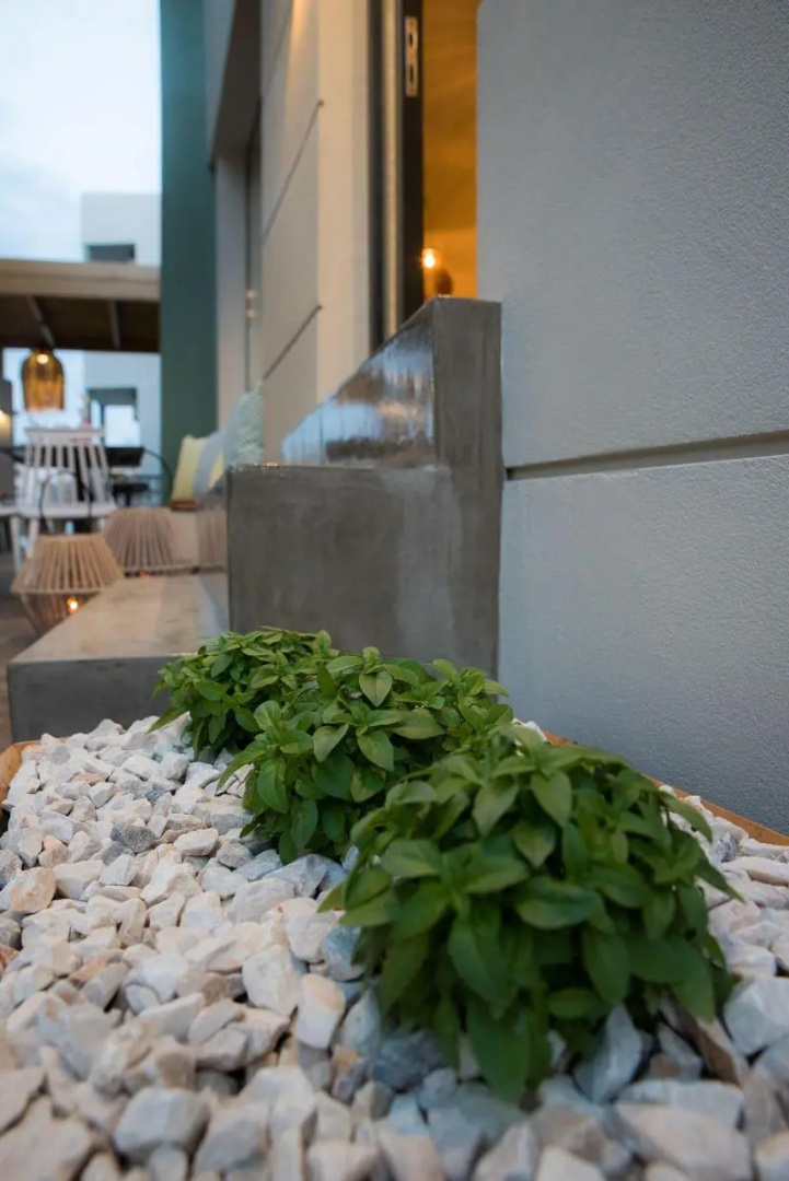 Foto - Sunshine Boutique Hotel by Estia