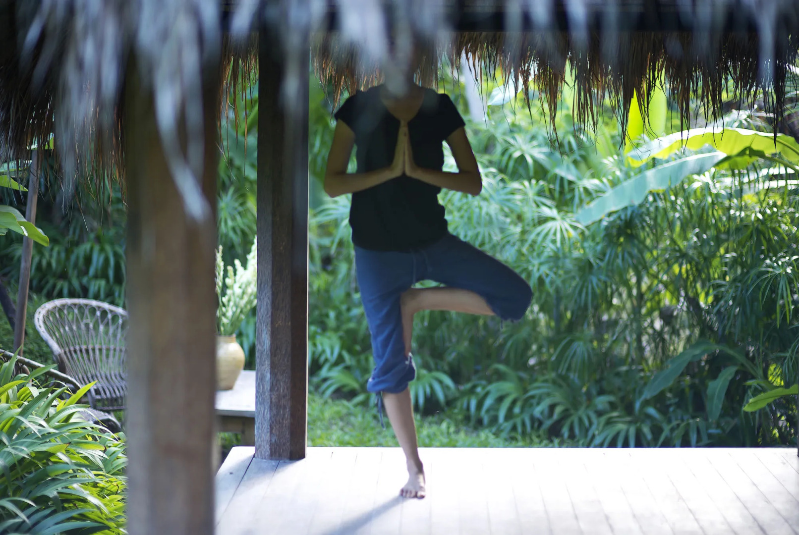 Foto - Planta Boutique Resort