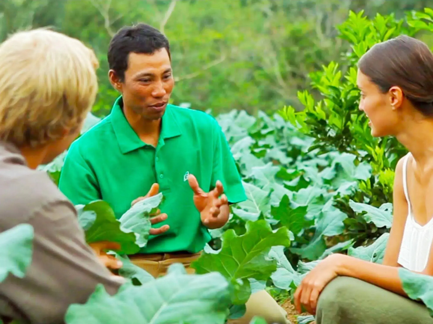 Foto - Bagus Agro Pelaga