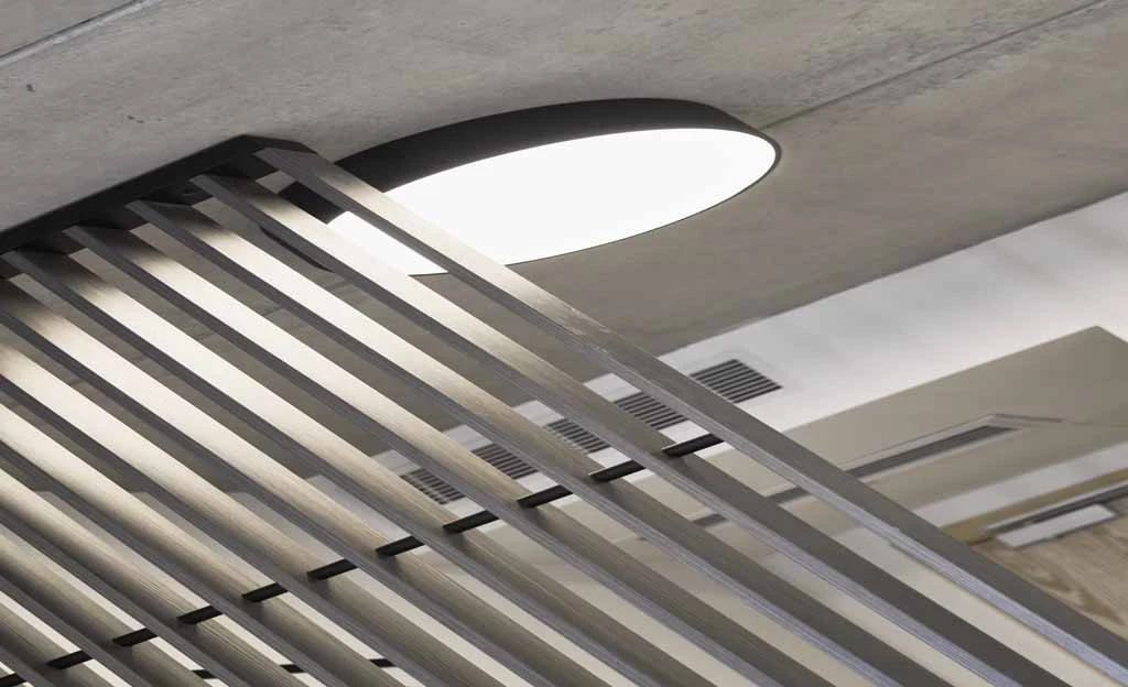 Photo - Mr Todd Hotel