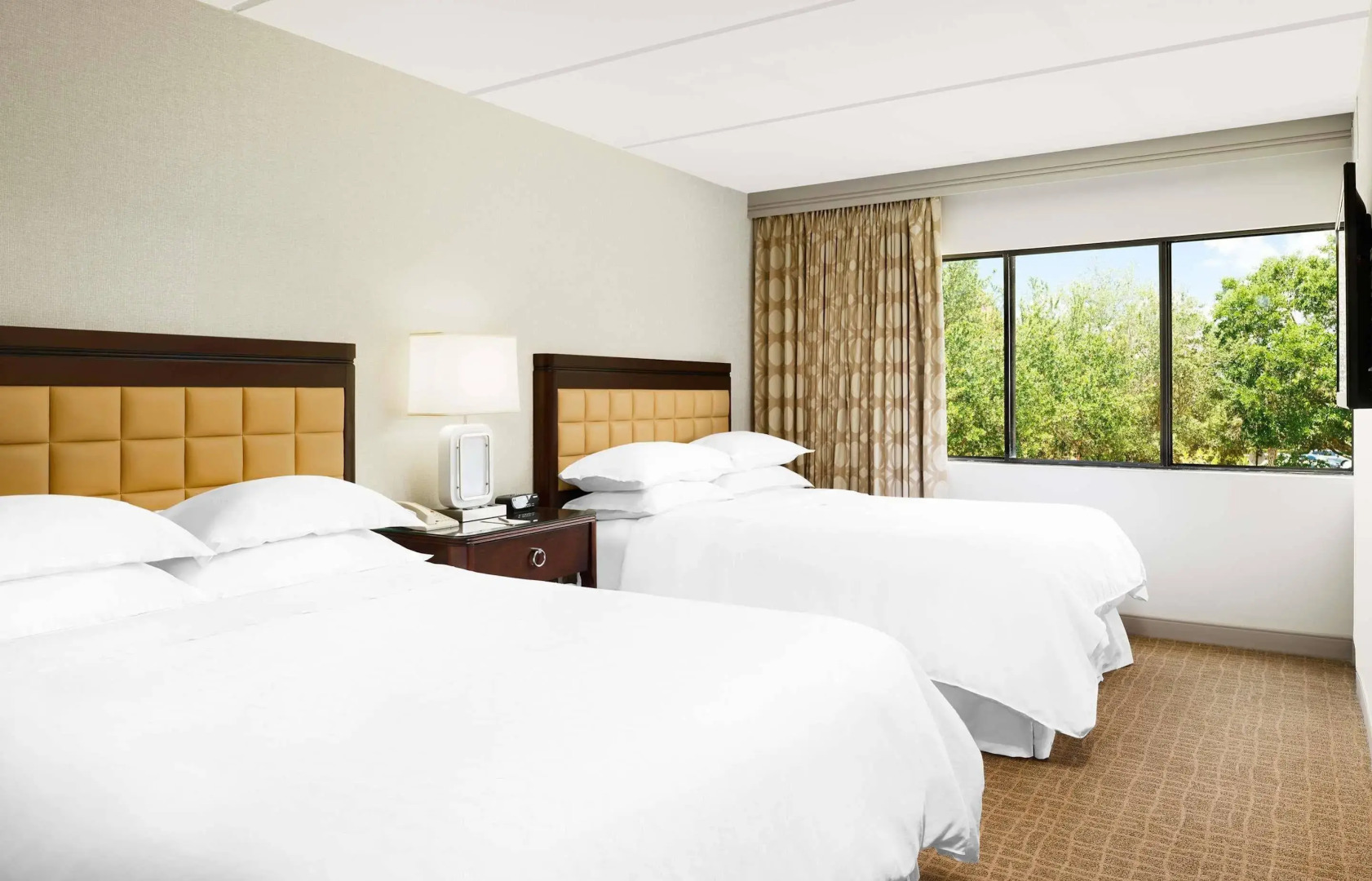 Foto - Sheraton Suites Orlando Airport Hotel