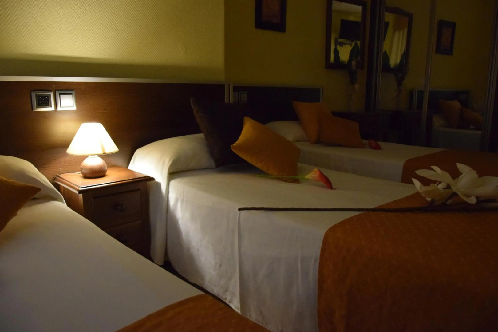 Foto - Hotel Complutense