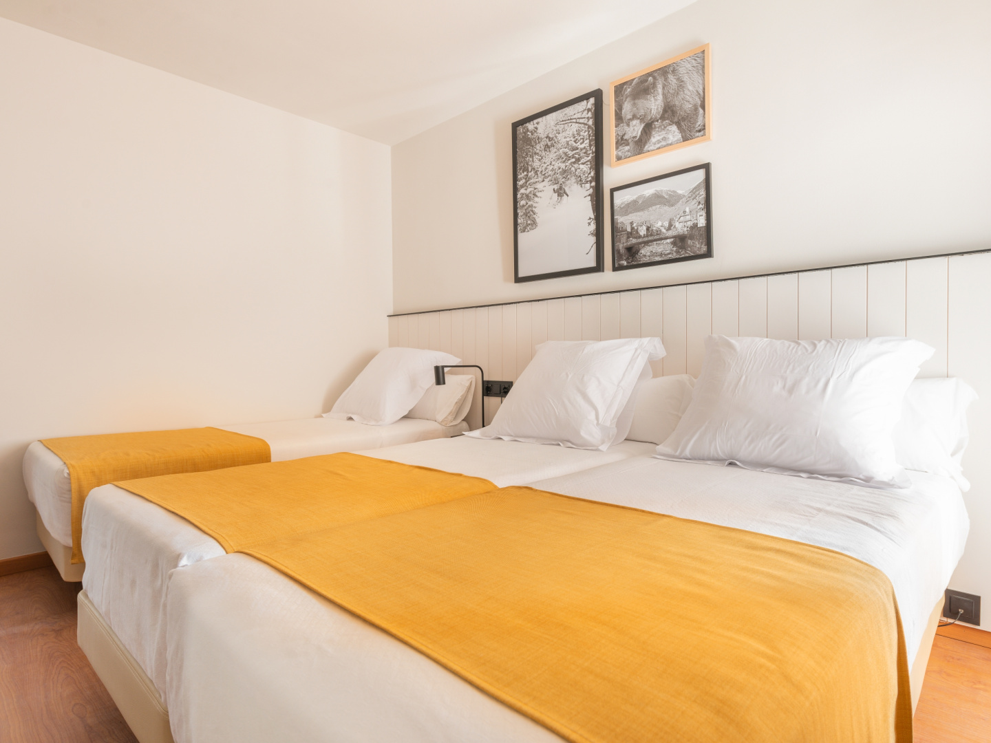 Foto - Hotel Viella
