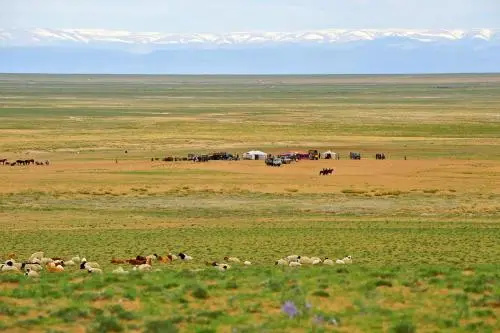 Adventure Rider Mongolia — фото 1