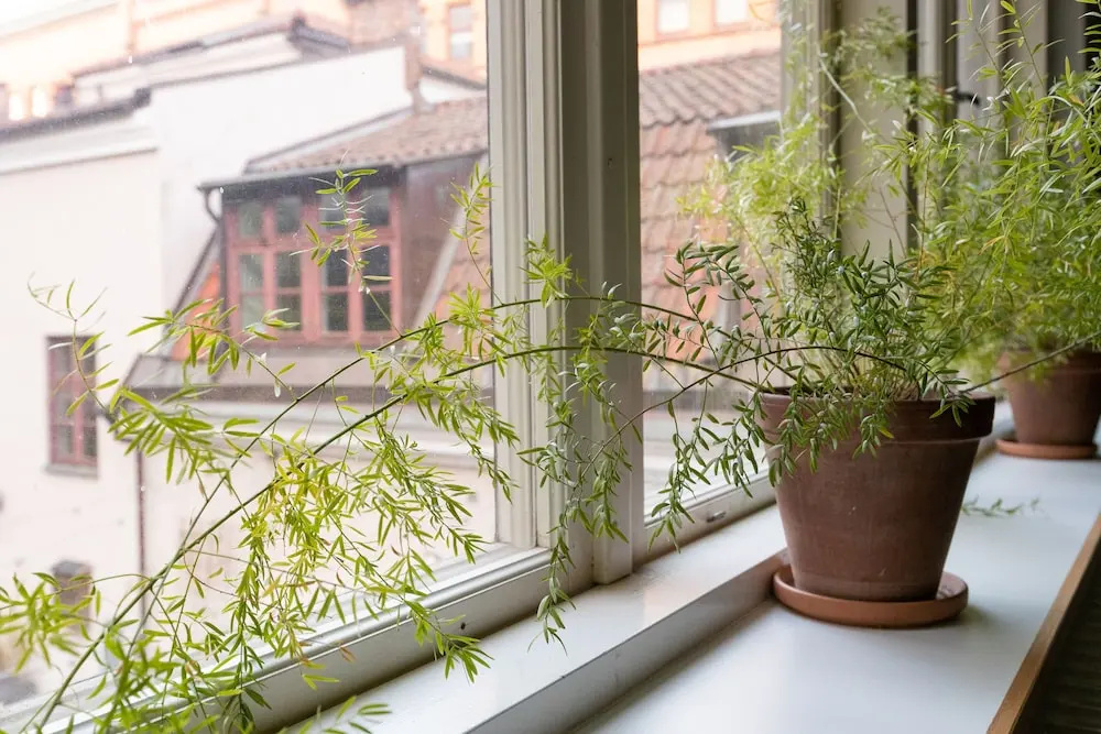 Foto - STF Vandrarhem Stigbergsliden - Hostel