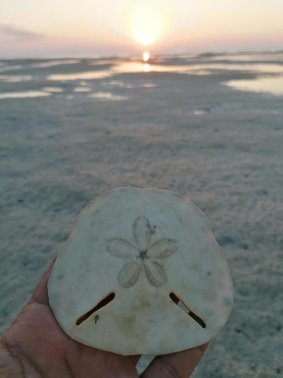 Masirah Beach camp