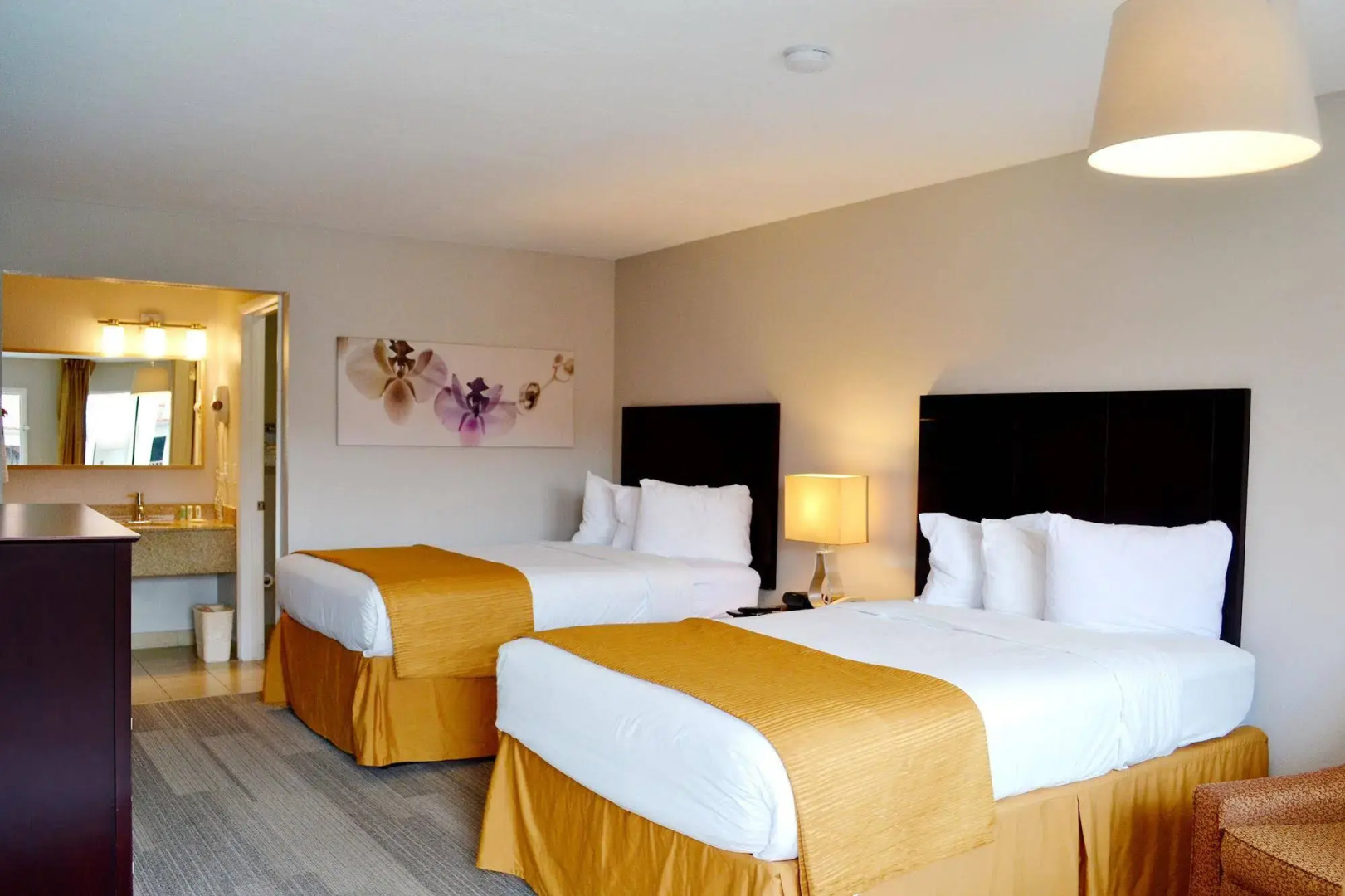 Foto - Quality Inn & Suites By the Parks