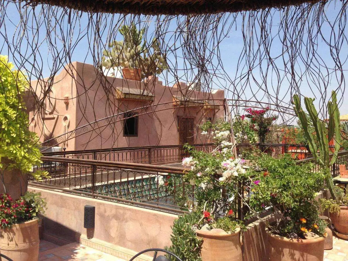 Foto - Riad Mehdia