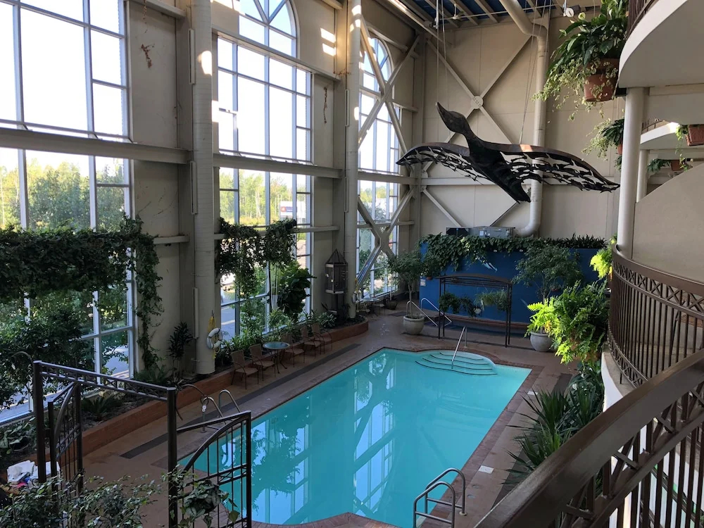 Foto - Hotel L'Oie des neiges