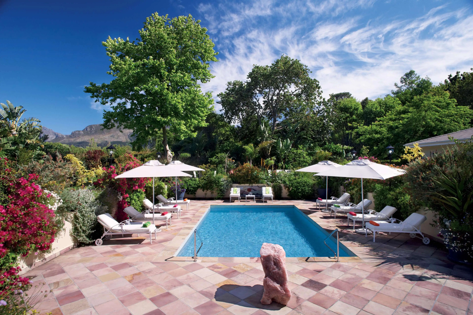 Photo - Last Word Constantia